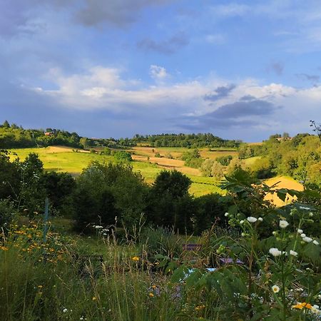 I Conti Della Serva Cinzano Kültér fotó
